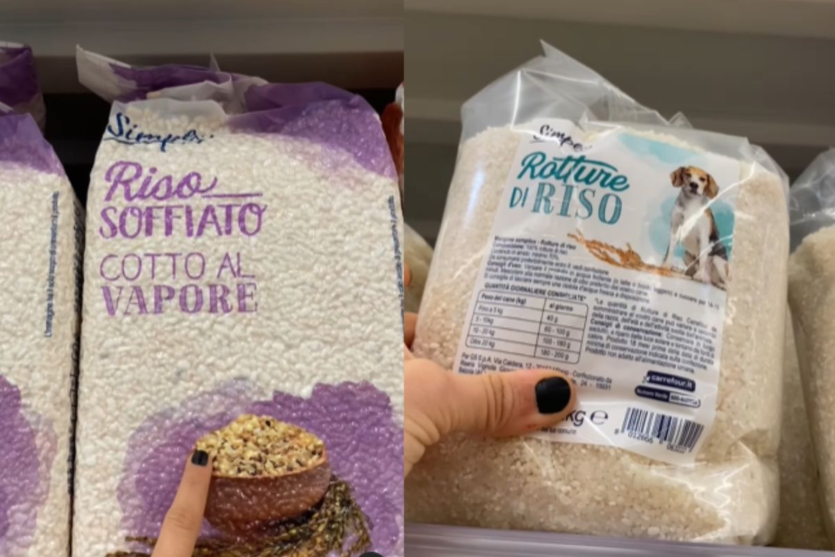 Imagem colorida de marcas diferentes do arroz canino