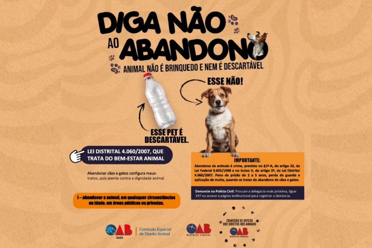 Imagem colorida de cartaz da campanha da OAB com a frase "Diga não ao abandono"