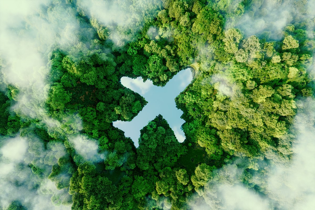 Foto colorida - foto de uma floresta vista de cima com um espaço vazio em formato de avião