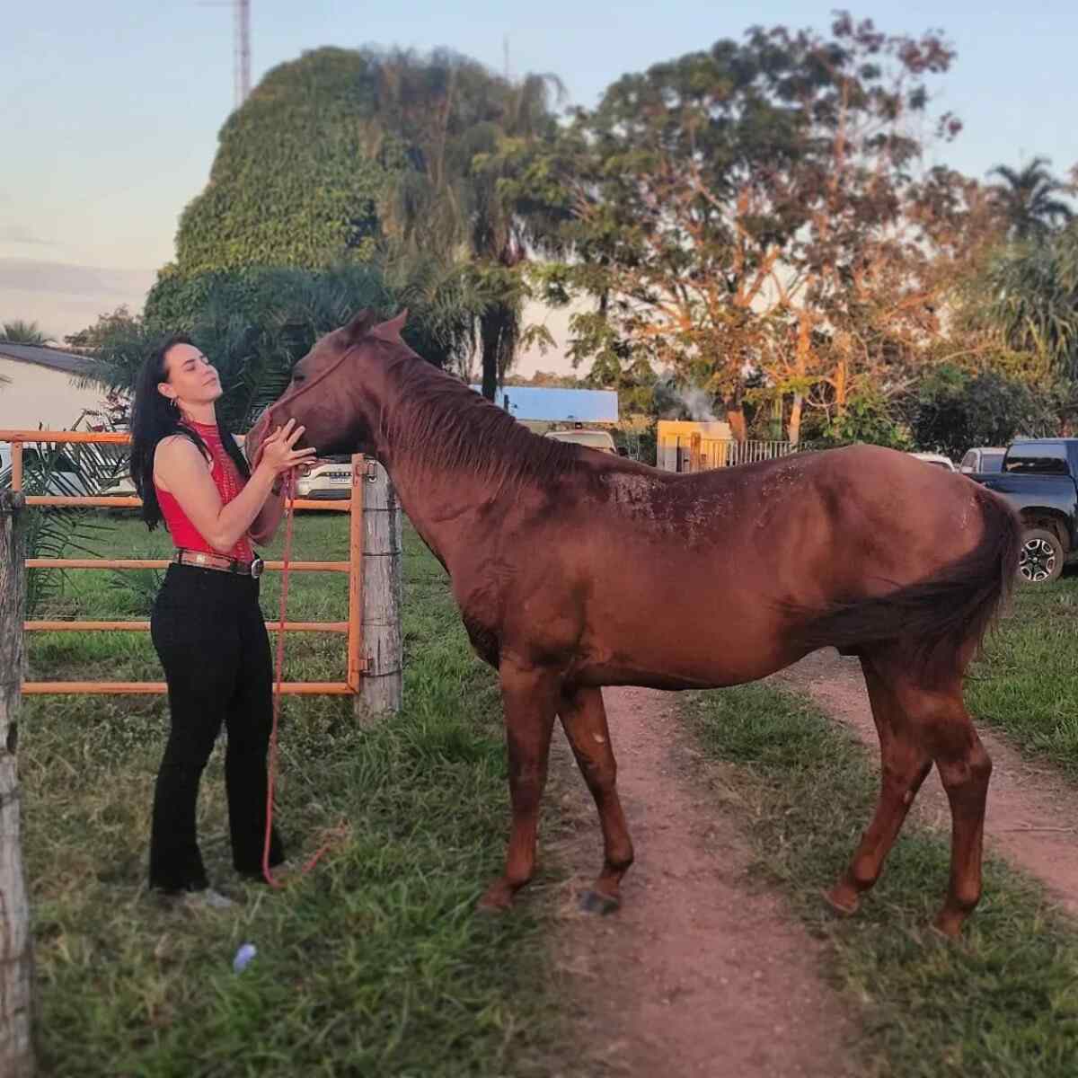 Parlamentares cobram justiça por filha do deputado Gilberto Cattani |  Metrópoles