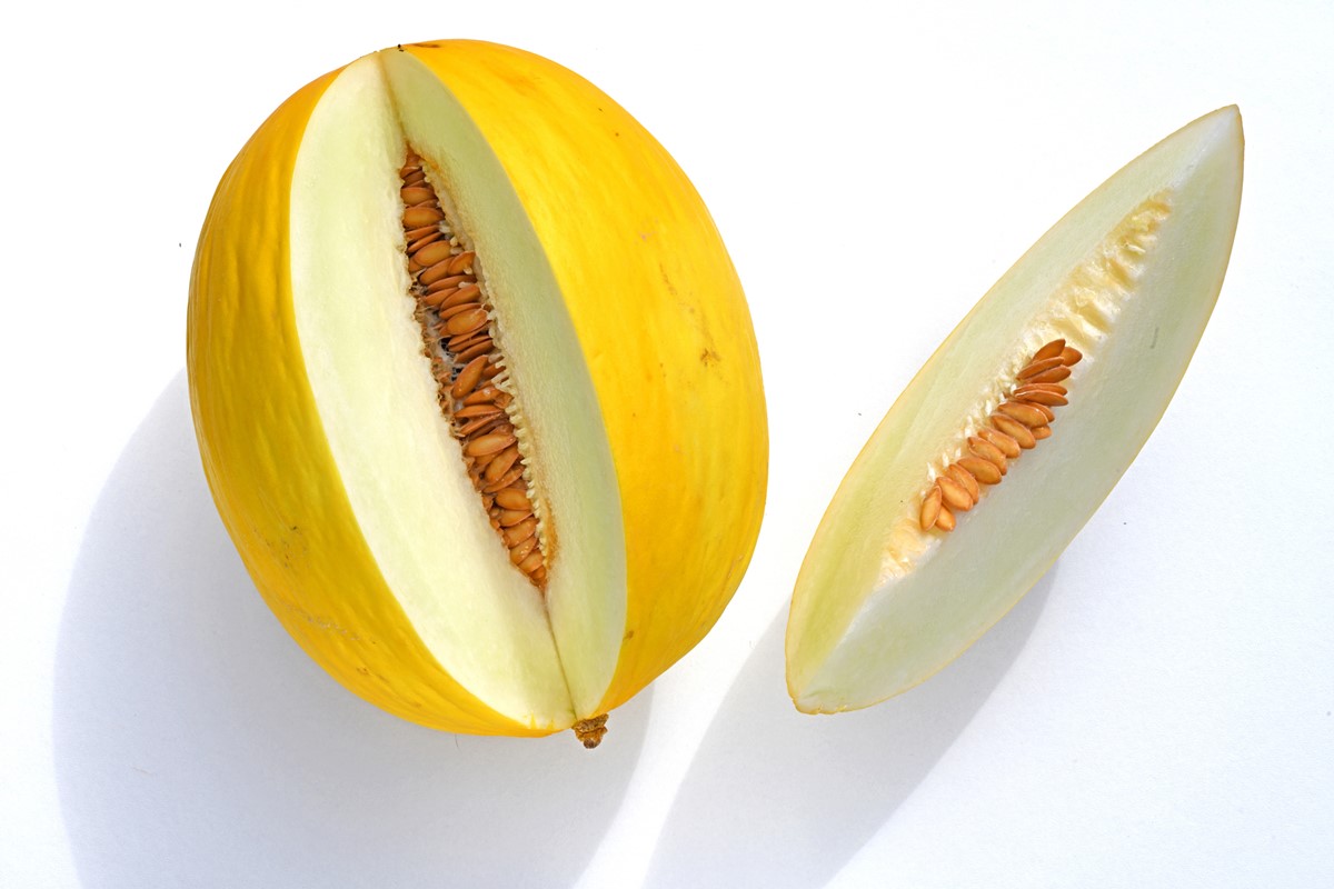 Foto colorida de melão e uma fatia da fruta - Metrópoles