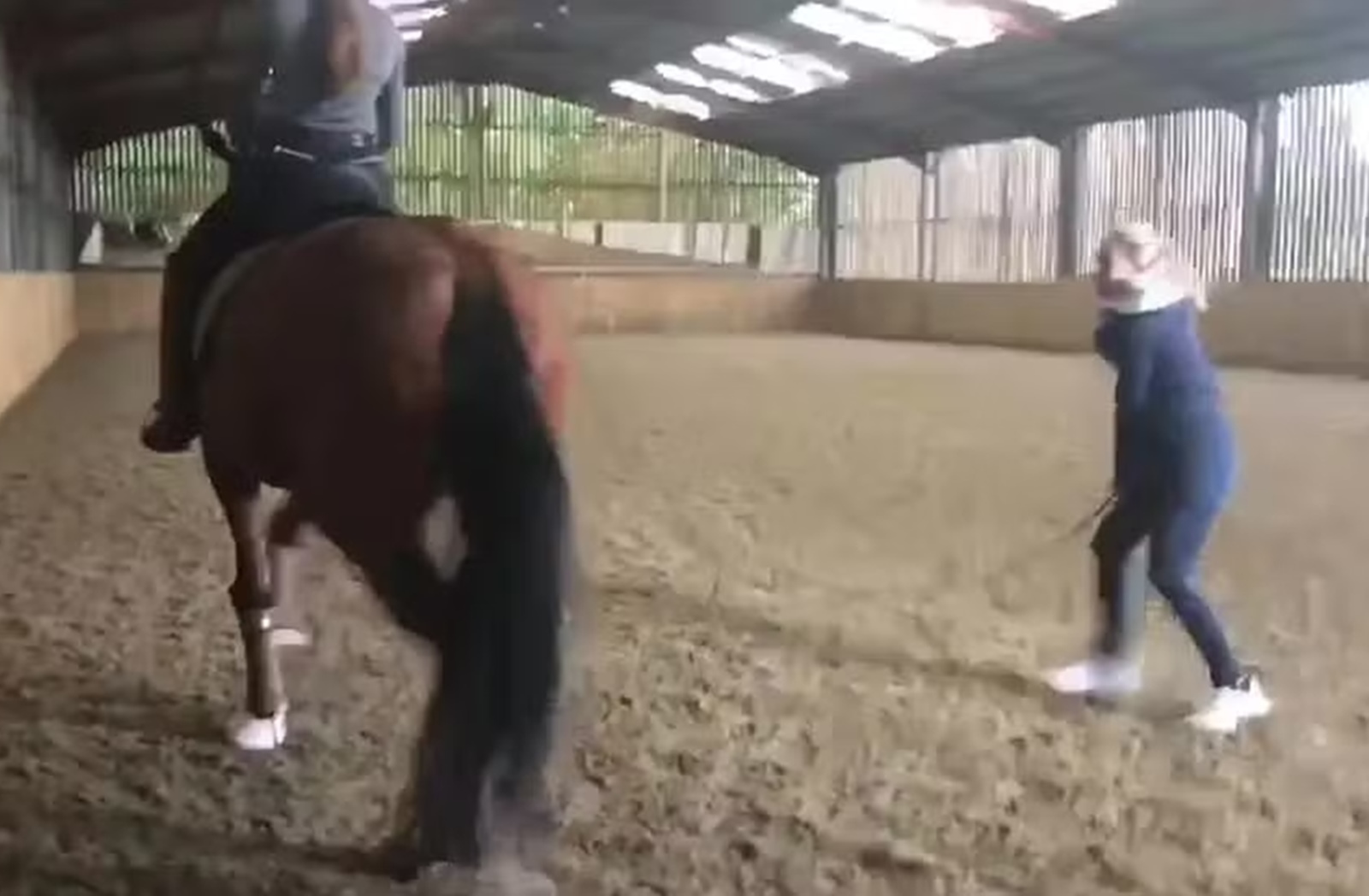 Vídeo: campeã de hipismo está fora de Paris por maus-tratos a cavalo |  Metrópoles