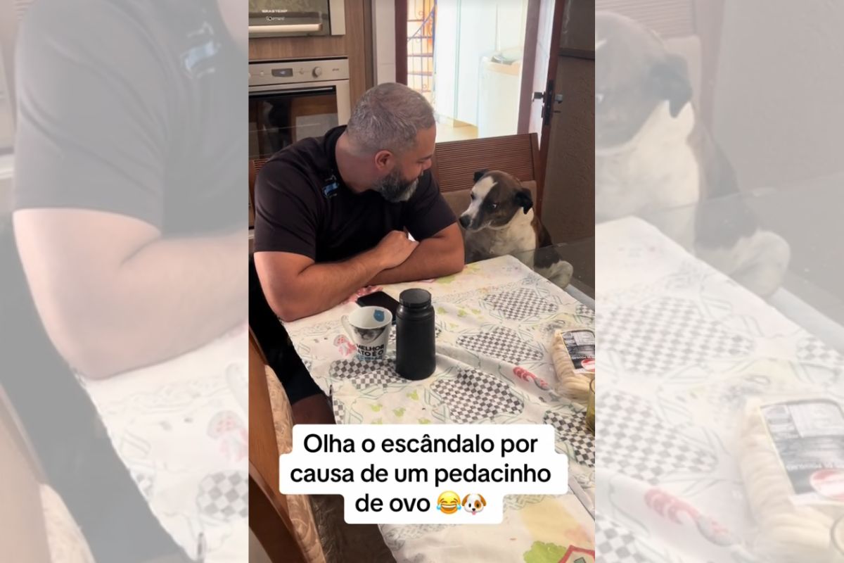 Foto colorida de um homem e um cachorro na mesa - Metrópoles