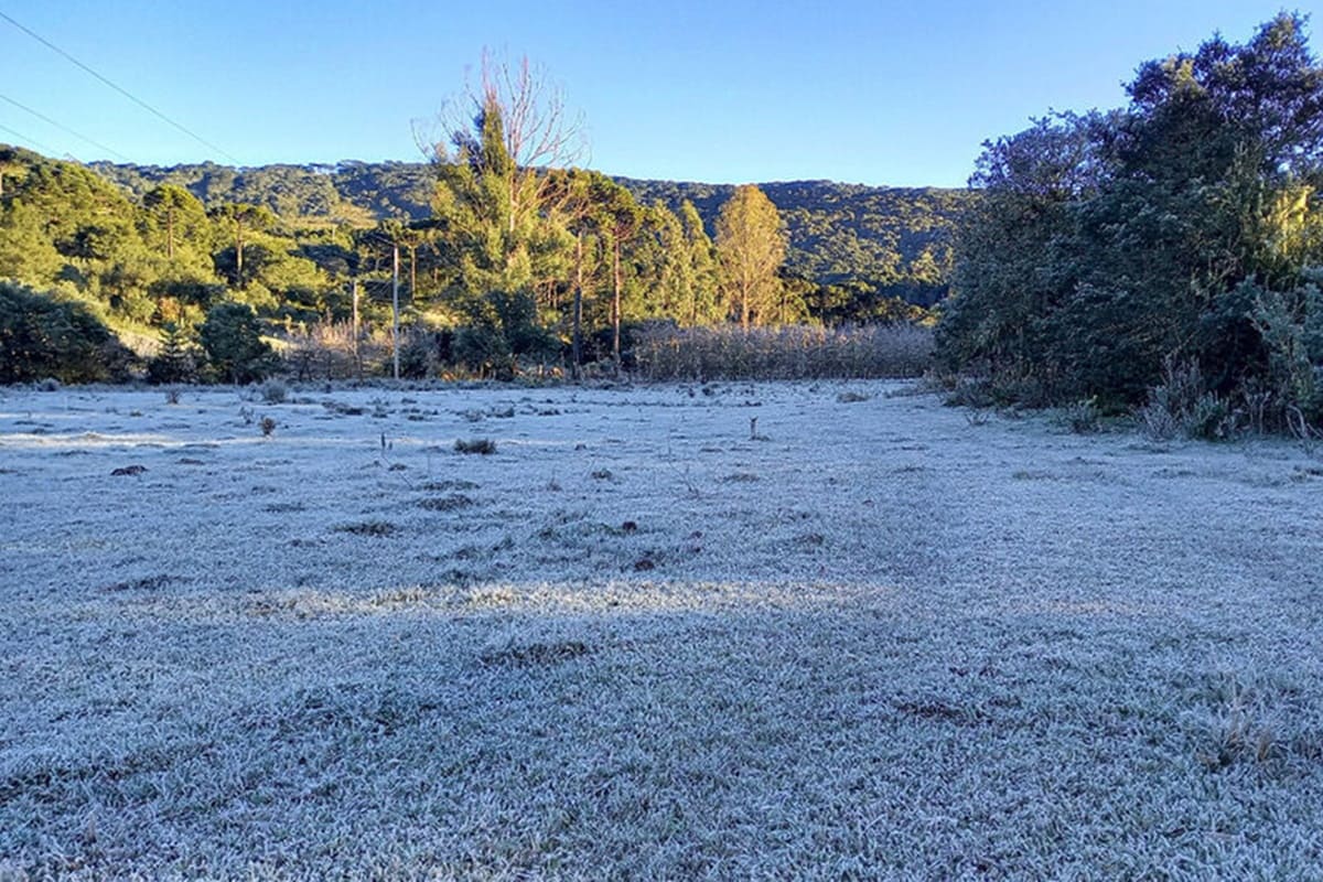 Frio persiste e geada se espalha no Sul; confira o clima neste sábado