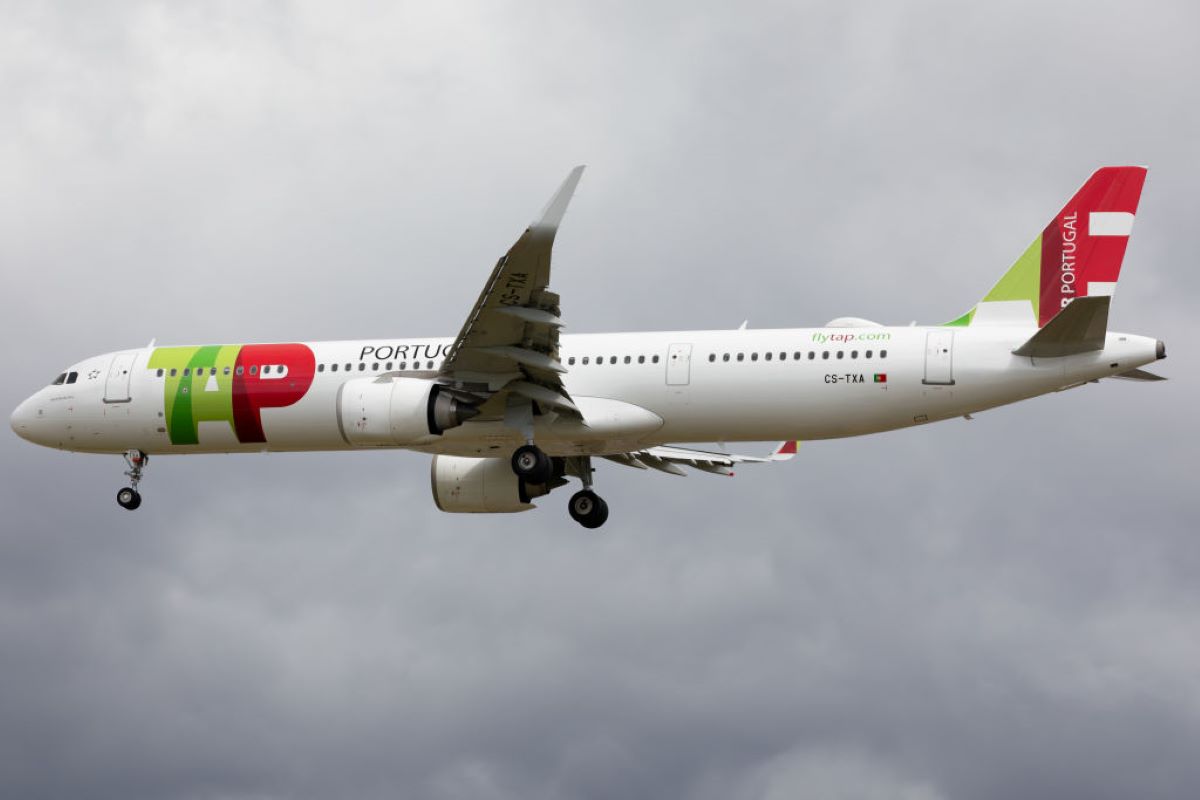 Companhia aérea impede entrada de cachorro, e voo é cancelado no RJ