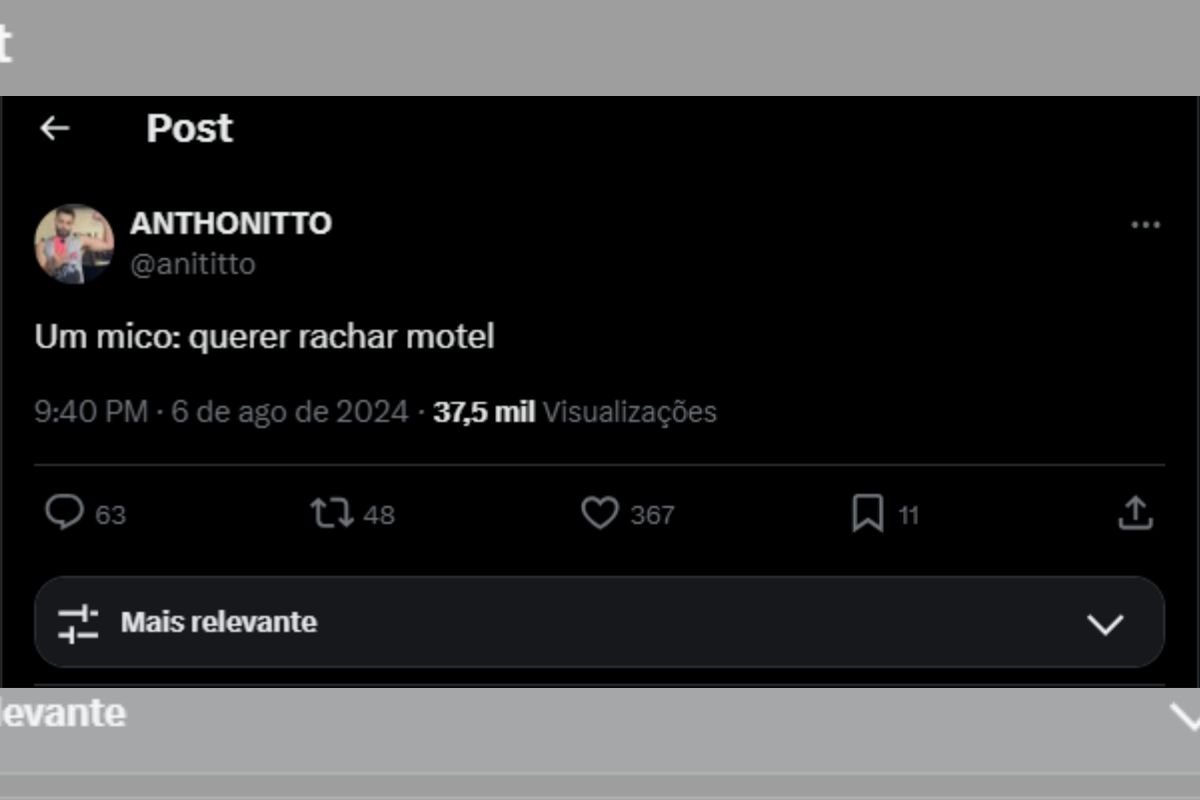 Imagem colorida do print do tuíte escrito "Um mico: querer rachar motel"