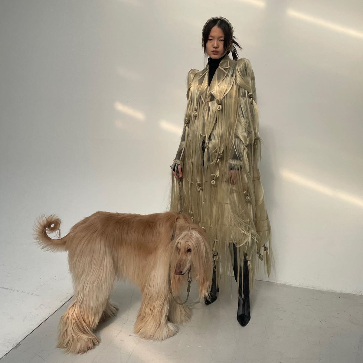 Cachorro ao lado de modelo com look feito com cabelo - Metrópoles