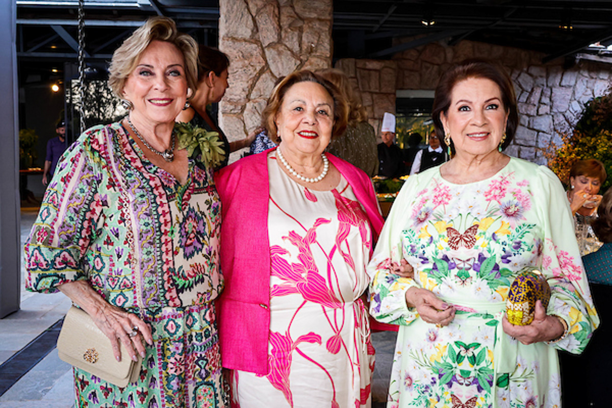 Vera Comini, Therezinha Falcão e Heloísa Hargreaves