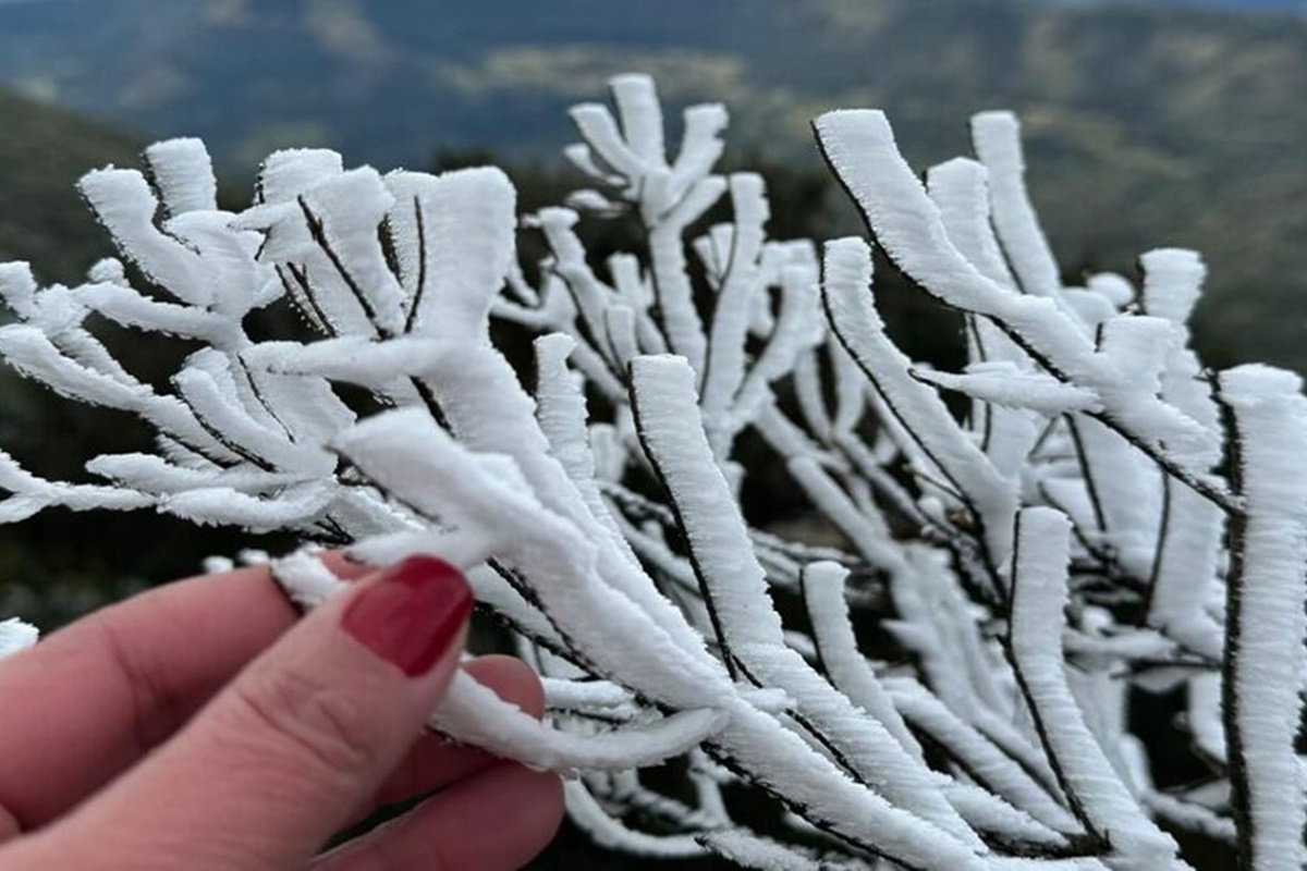 Ciclone, onda polar, temperaturas caindo e neve: veja o clima nesta 5ª
