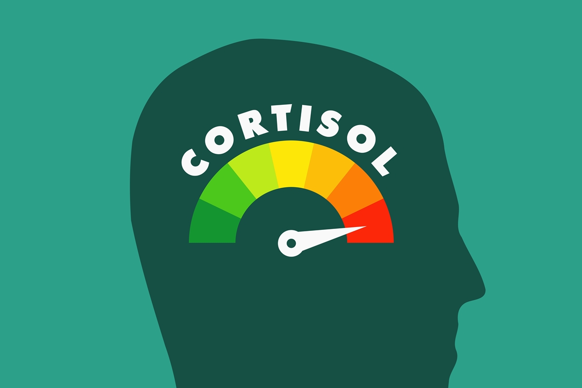 Ilustração níveis de cortisol - Metrópoles