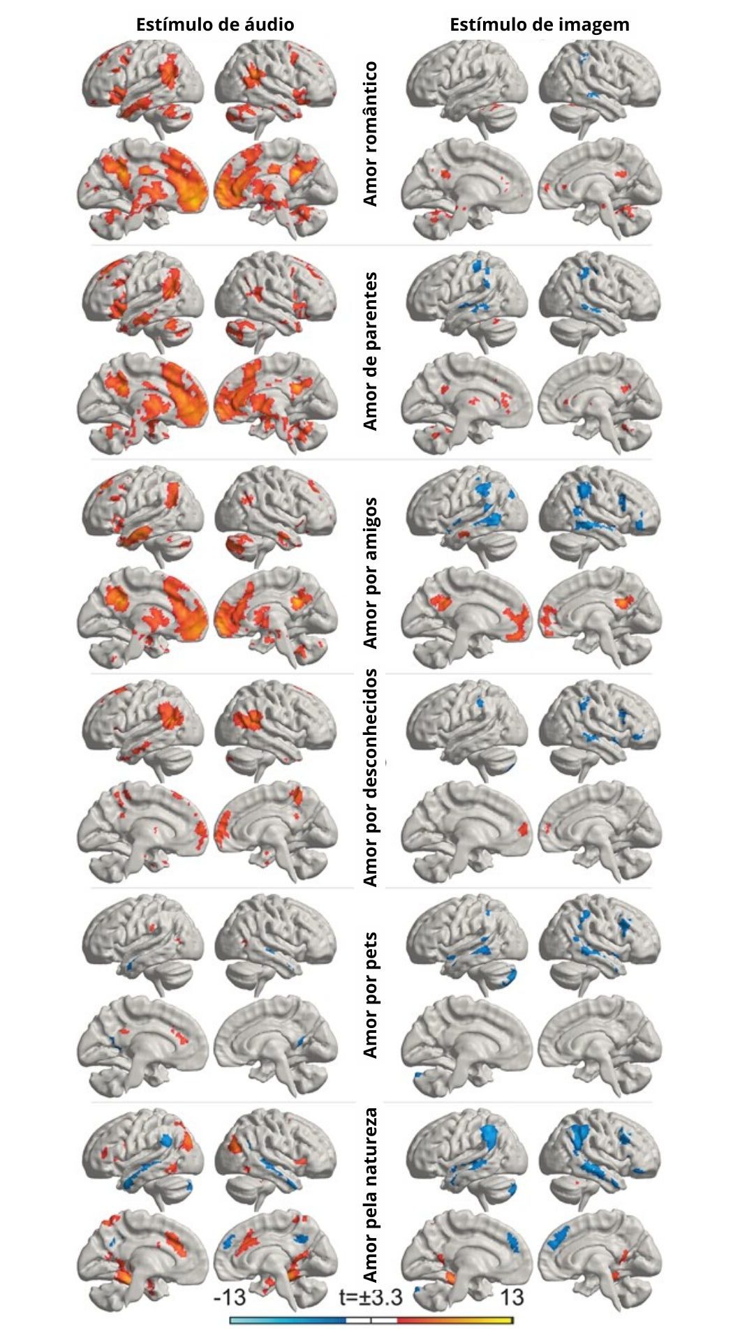 Imagem mostra áreas do cérebro que foram ativadas conforme os estímulos relacionados ao amor