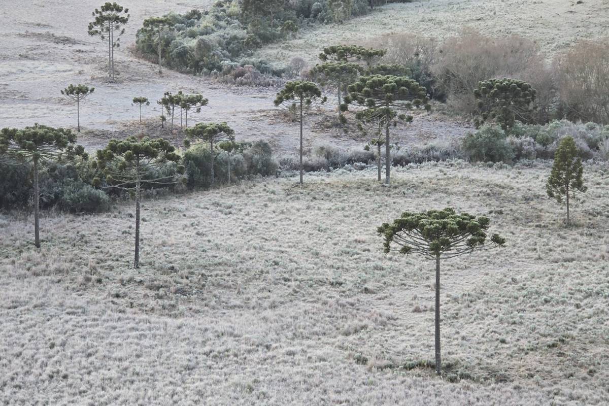 Ciclone traz possibilidade de neve e ventos de 100 km/h no Sul do país