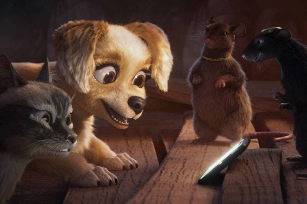 Imagem colorida do filme Pets em Ação - Metrópoles