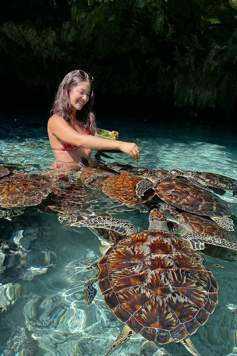 Foto colorida de mulher alimentando tartarugas - Metrópoles