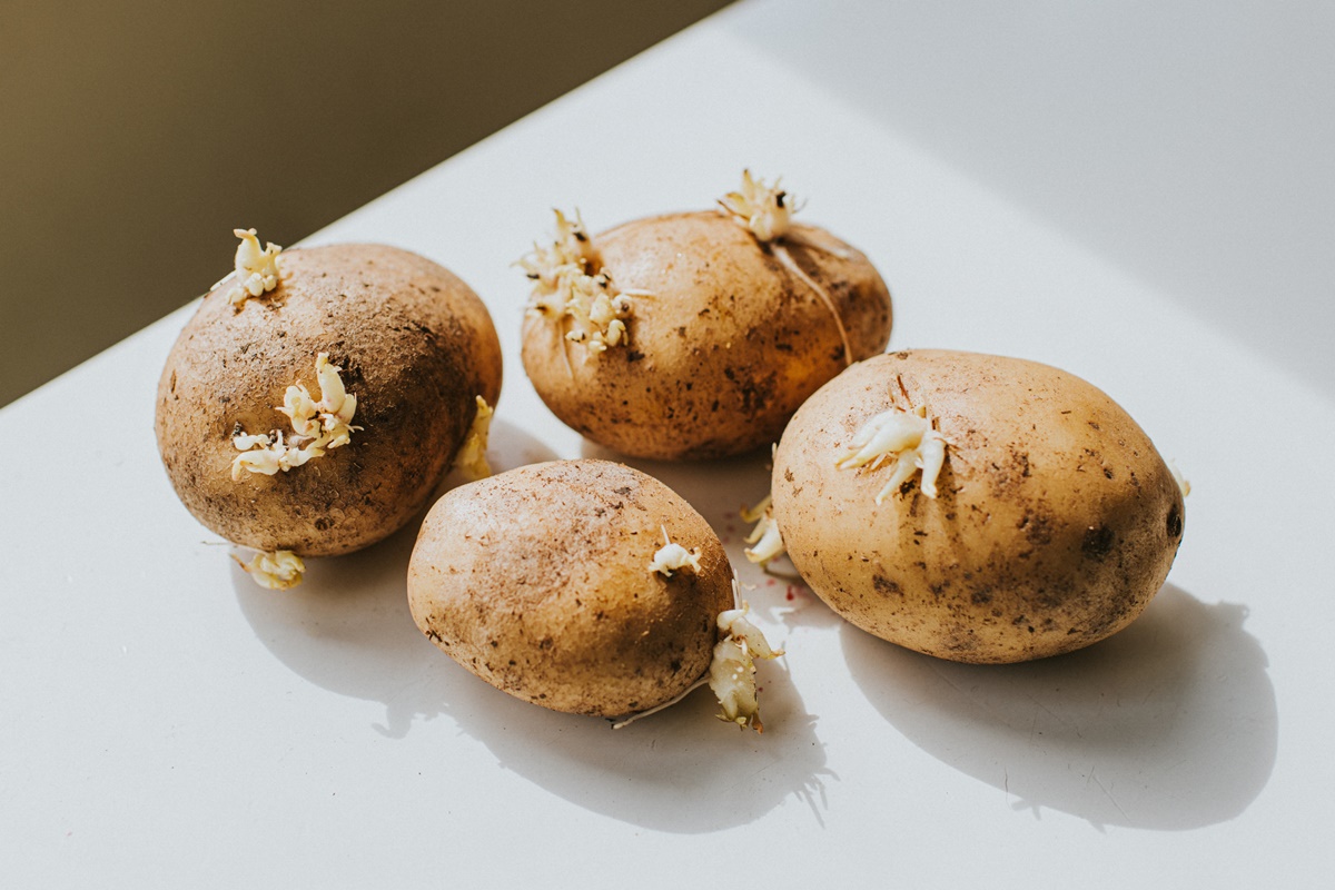 Batatas Germinadas Em Uma Superfície Branca