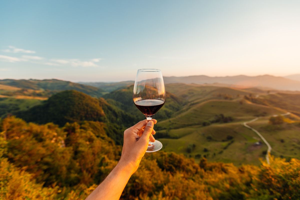 pessoa sgeurando taça de vinho sozinha