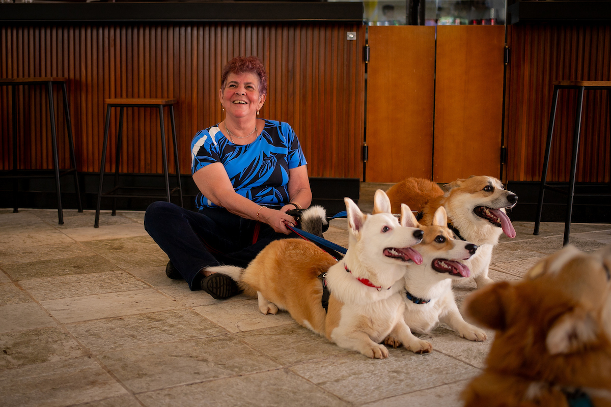 Rosângela Martins com seus corgis: Mano, Martin e Olívia