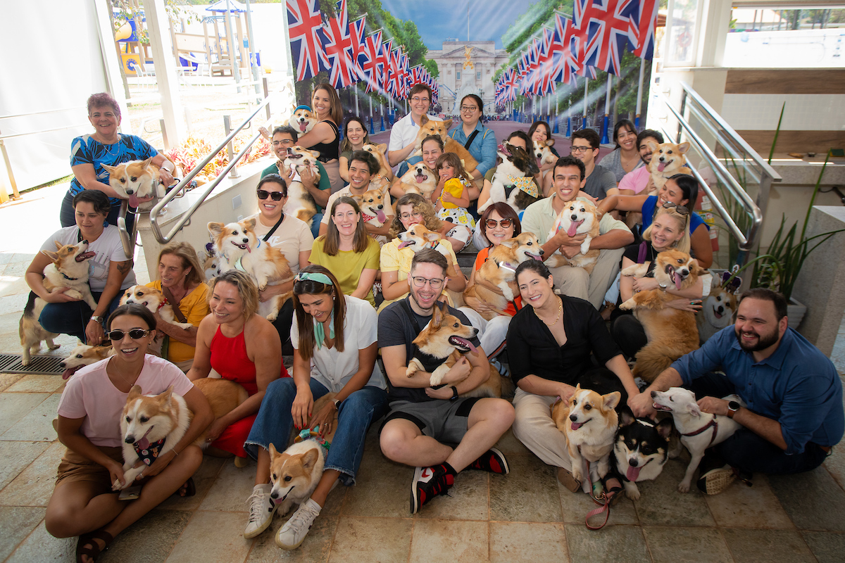 Corgis reunidos para homenagear a rainha Elizabeth II