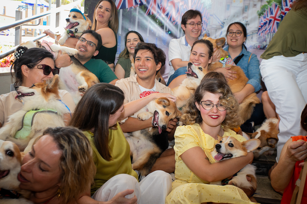 A embaixadora do Reino Unido, Stephanie Al-Qaq, brinca com os corgis ao redor