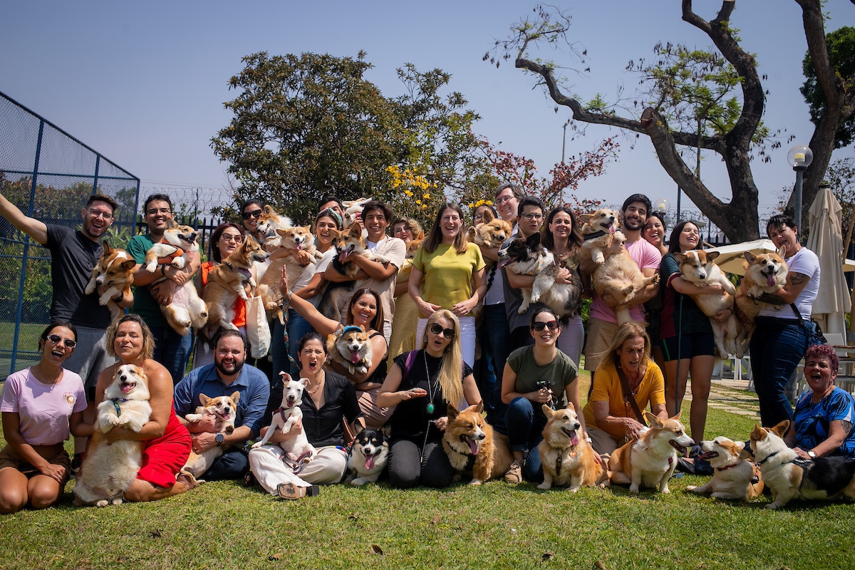 Corgis reunidos para homenagear a rainha Elizabeth II com a embaixadora do Reino Unido, Stephanie Al-Qaq