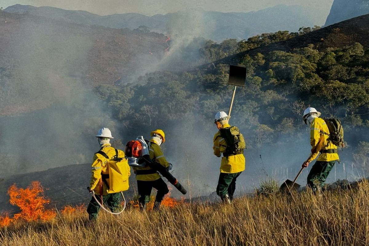 Brigadistas em região de mata atingida por incêndios florestais