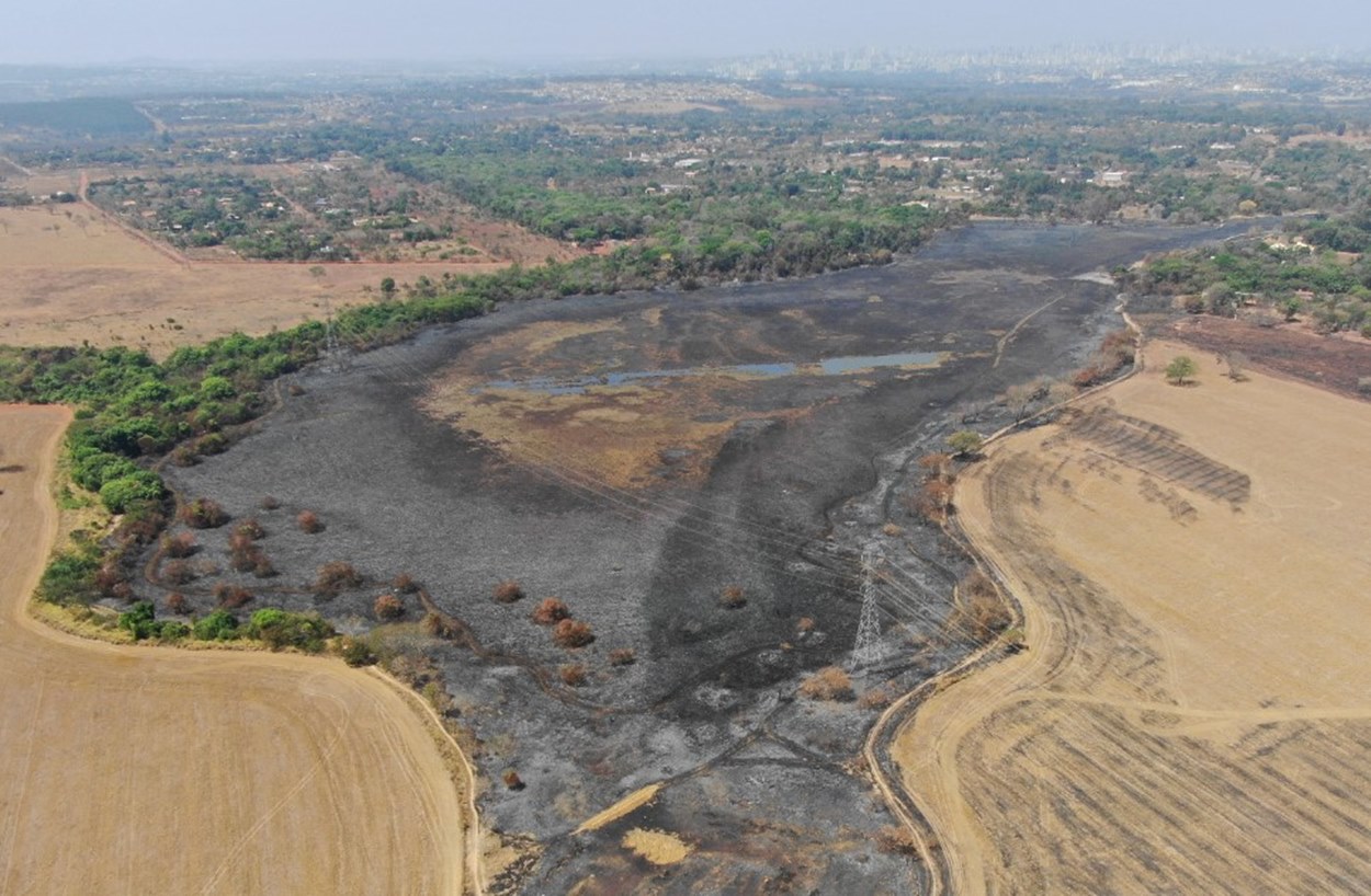 Foto colorida aérea de incêndio florestal em Goiânia - Metrópoles