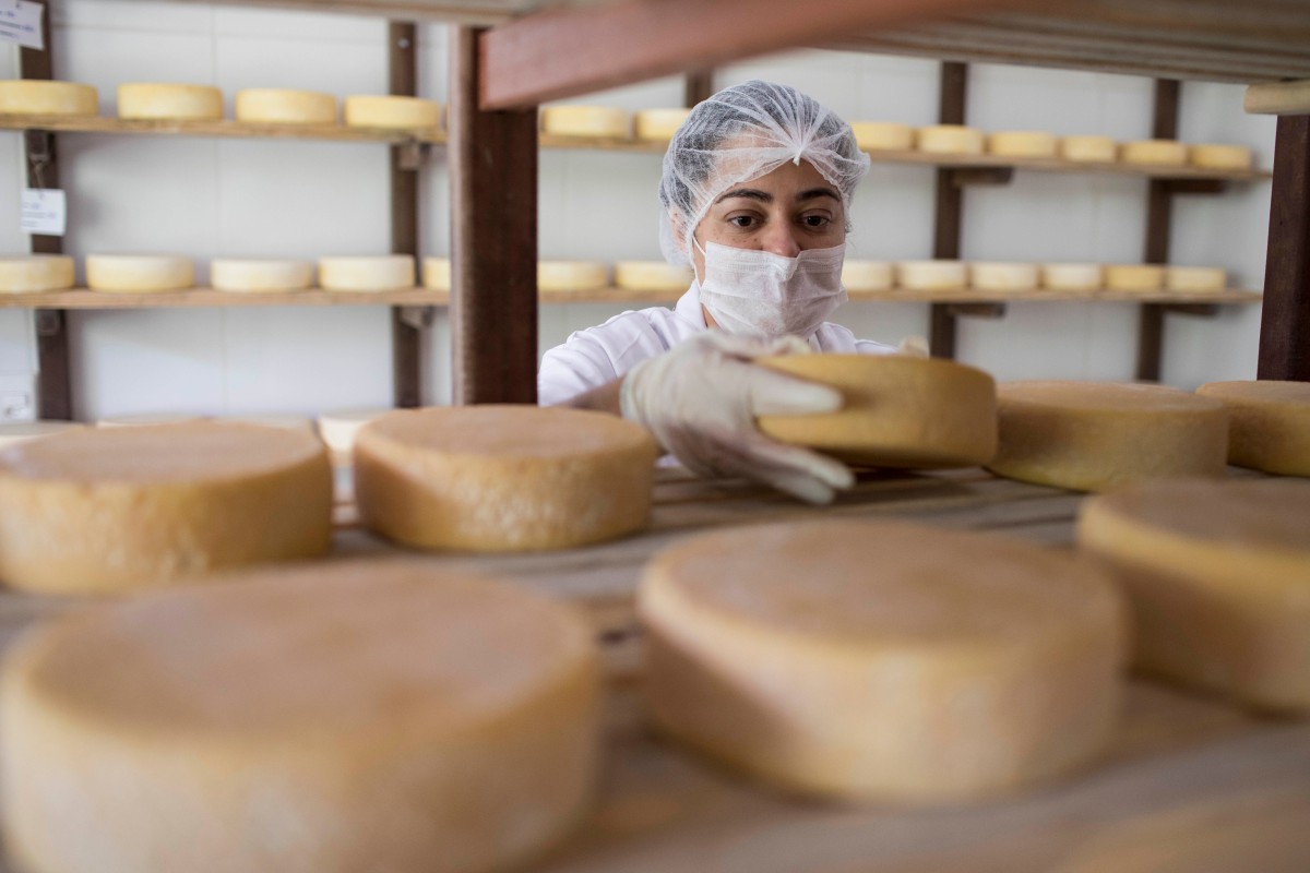 Fotografia colorida mostrando mulher pegando queijo em prateleira cheia de queijos-Metrópoles