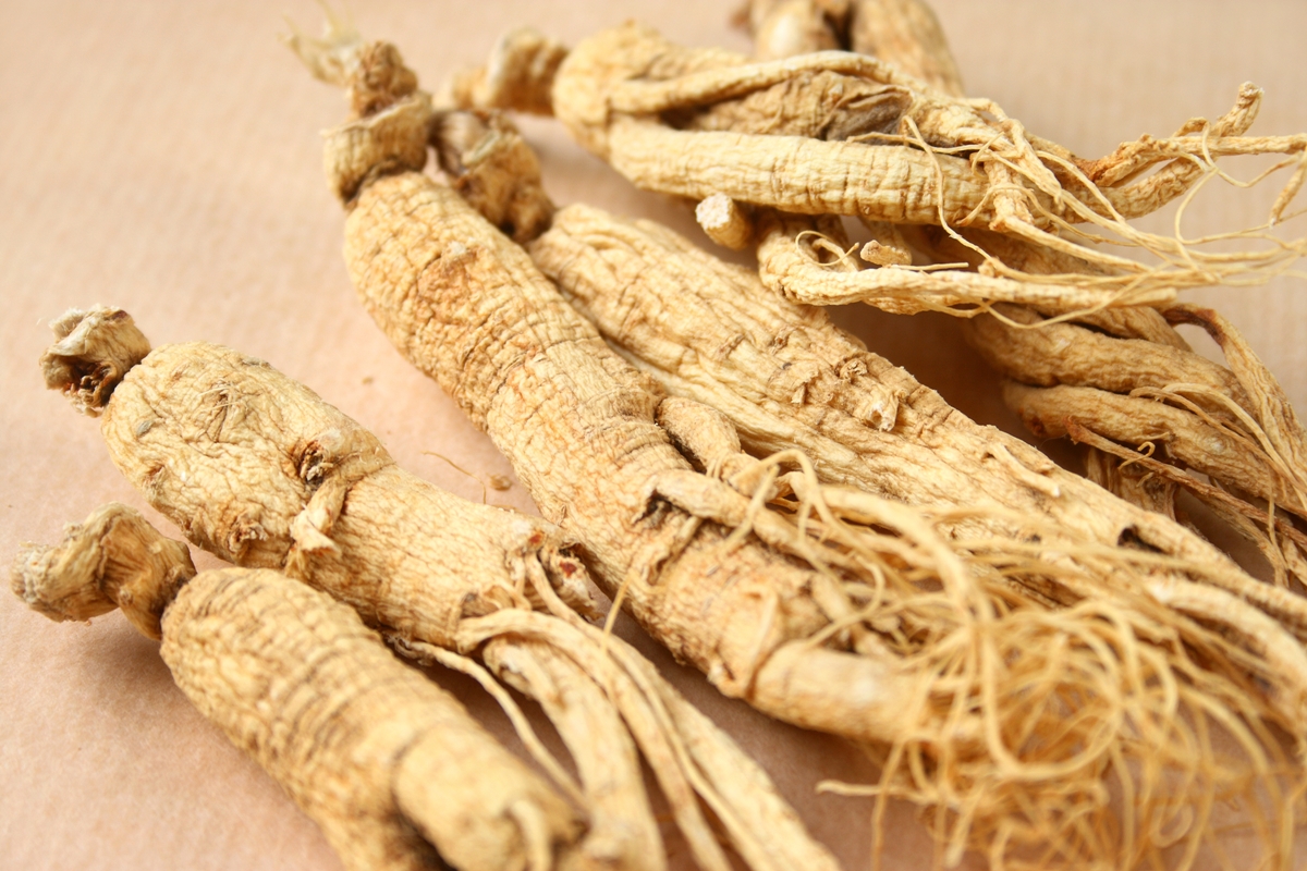 Raízes de ginseng em mesa - Metrópoles