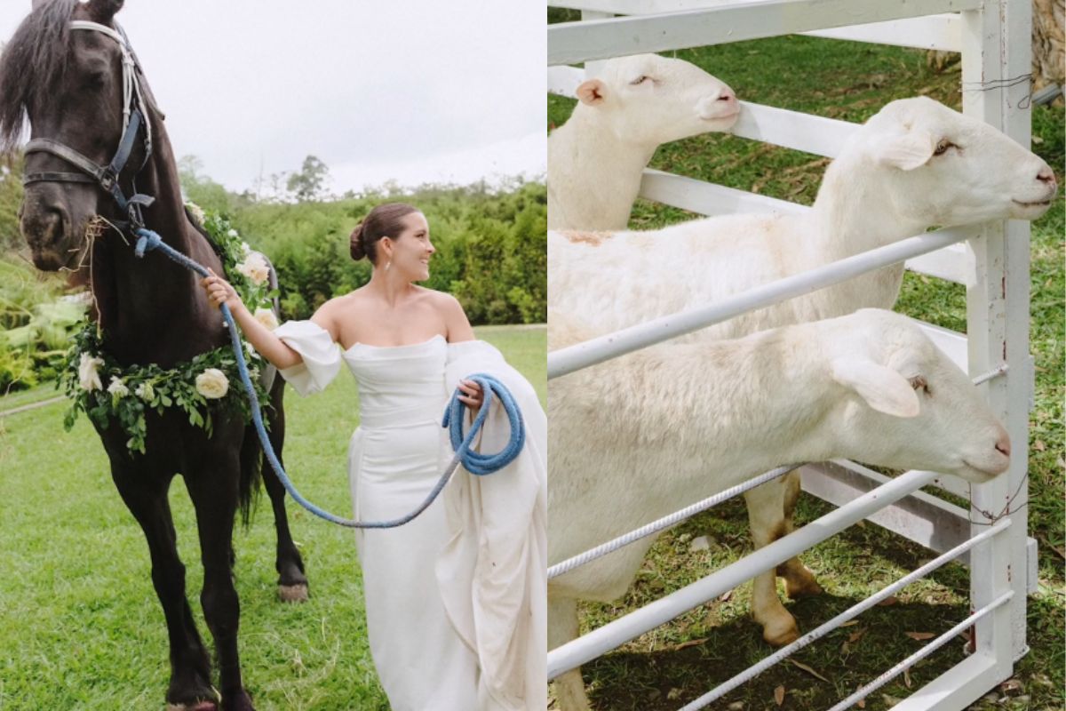 Montagem de imagens da noiva com cavalo e de cabras no cercado