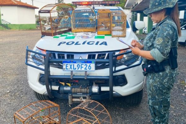 Dez aves silvestres eram mantidas em cativeiro em casa de Taciba (SP) - Metrópoles