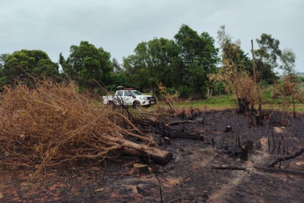 Área atingida por queimada em Teodoro Sampaio (SP) - Metrópoles