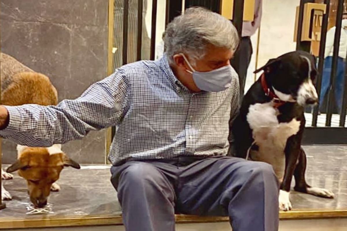 Imagem colorida de Ratan Tata e seu cachorro - Metrópoles