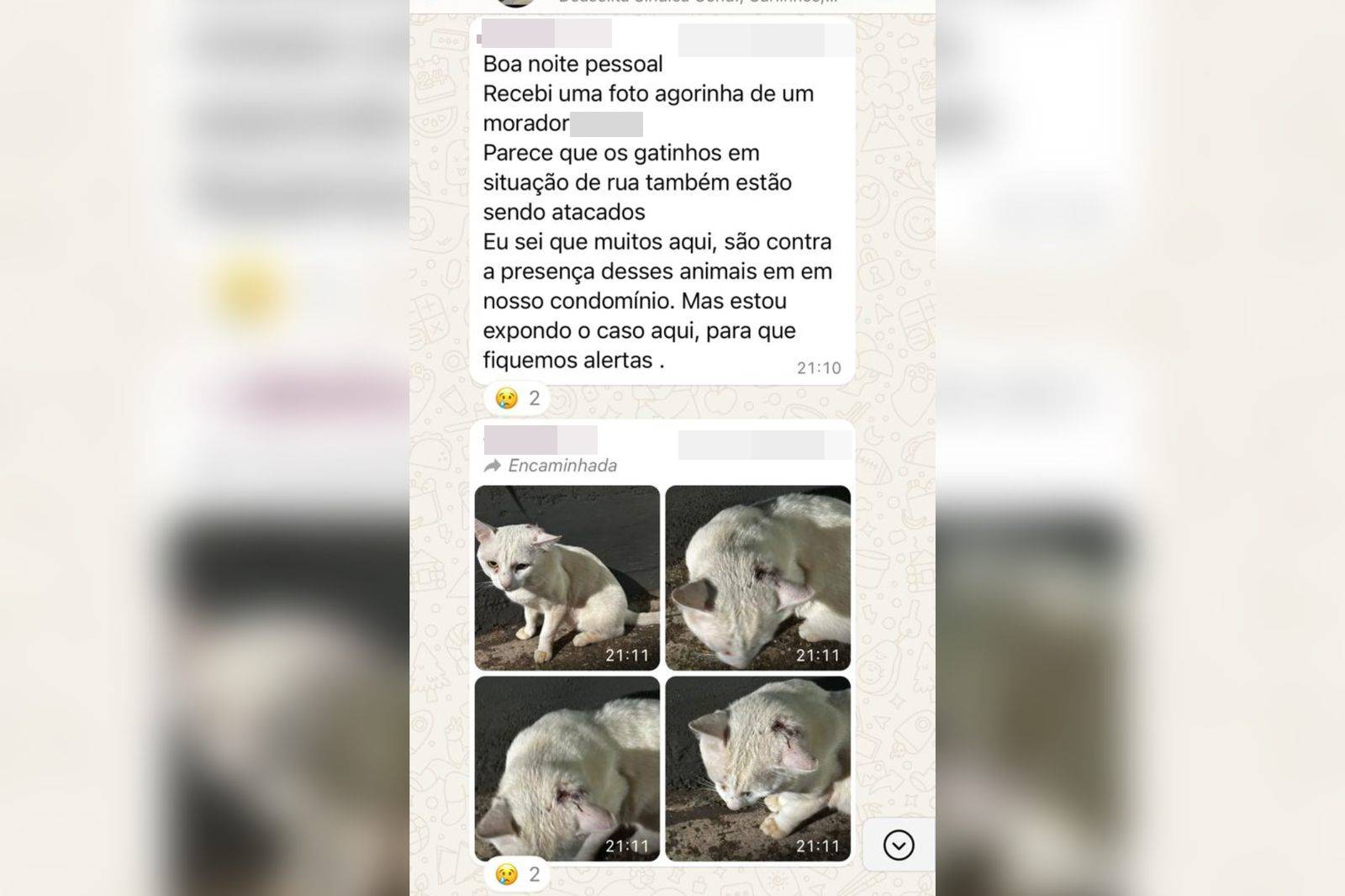 Imagem colorida de uma conversa em grupo de whatsapp - Metrópoles