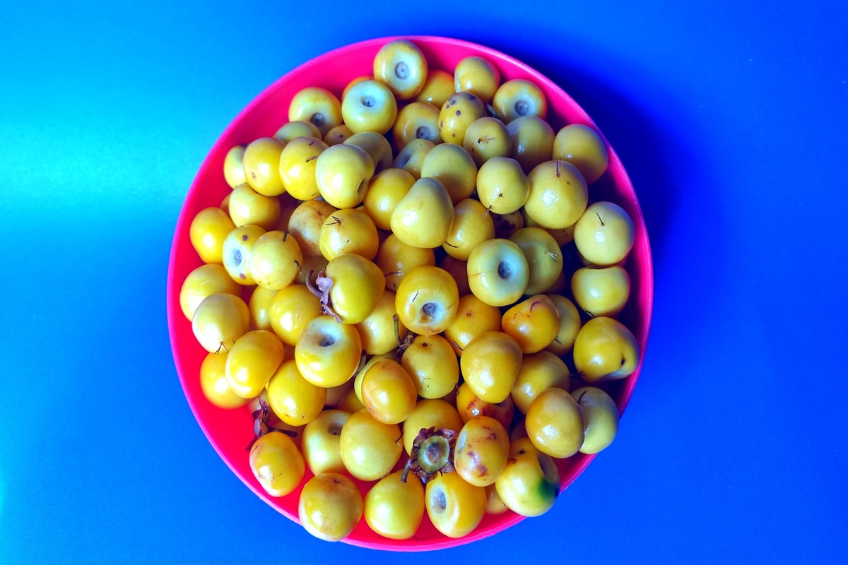 Frutas nanches amarelas em uma tigela vermelha com fundo azul - Metrópoles