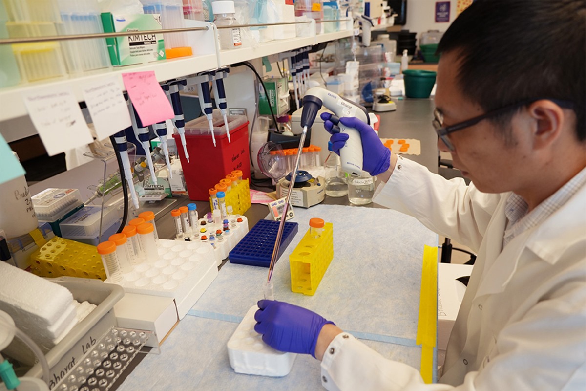 Foto colorida de cientistas em laboratório - Metrópoles