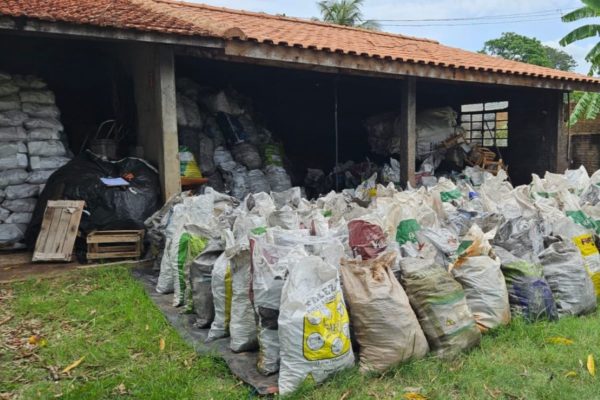 Carvão apreendido em Presidente Epitácio (SP) - Metrópoles