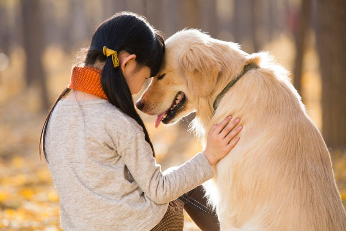 Imagem colorida de menina tocando um golden retriever, sentados no chão