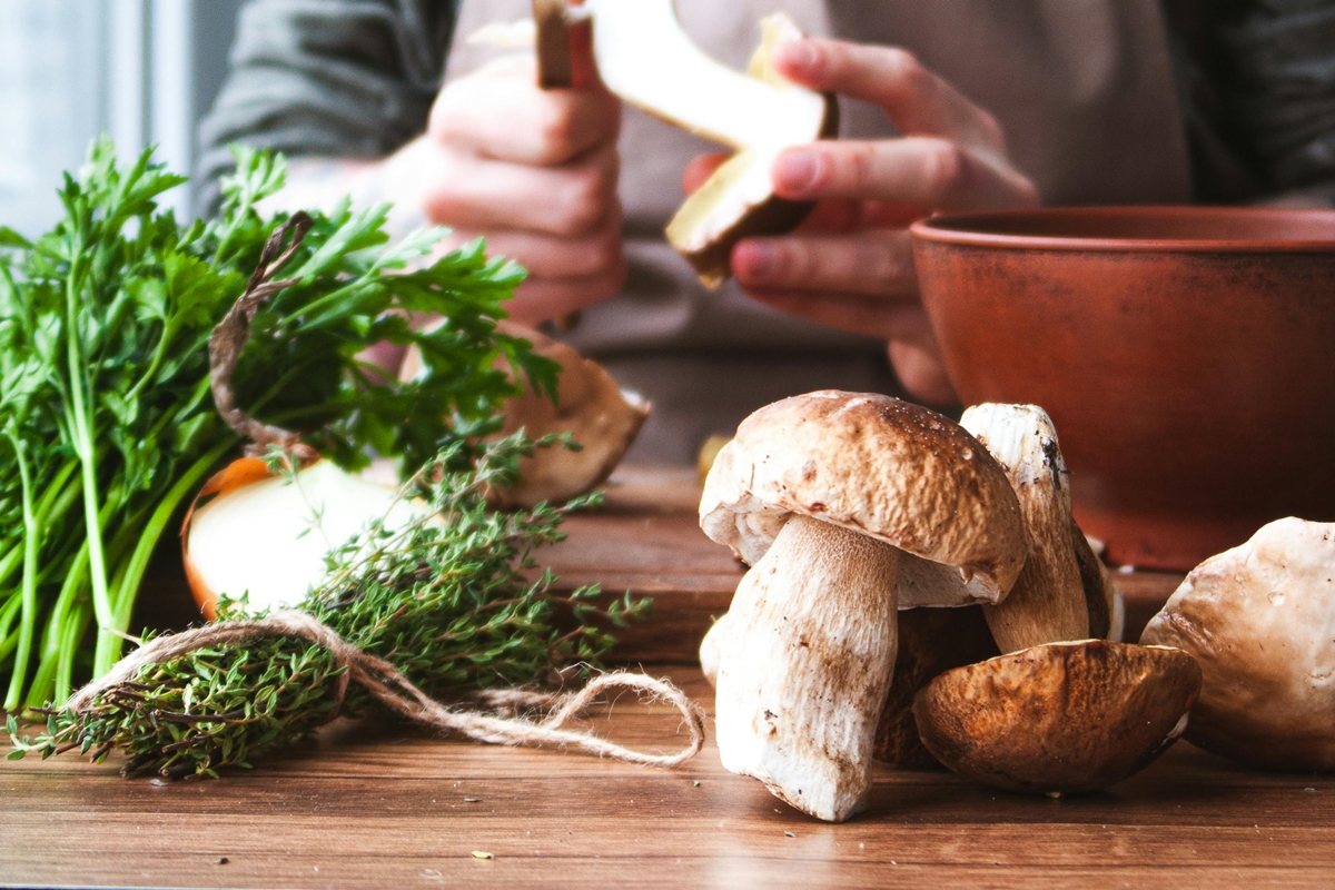 Cogumelos em alimentação - Metrópoles