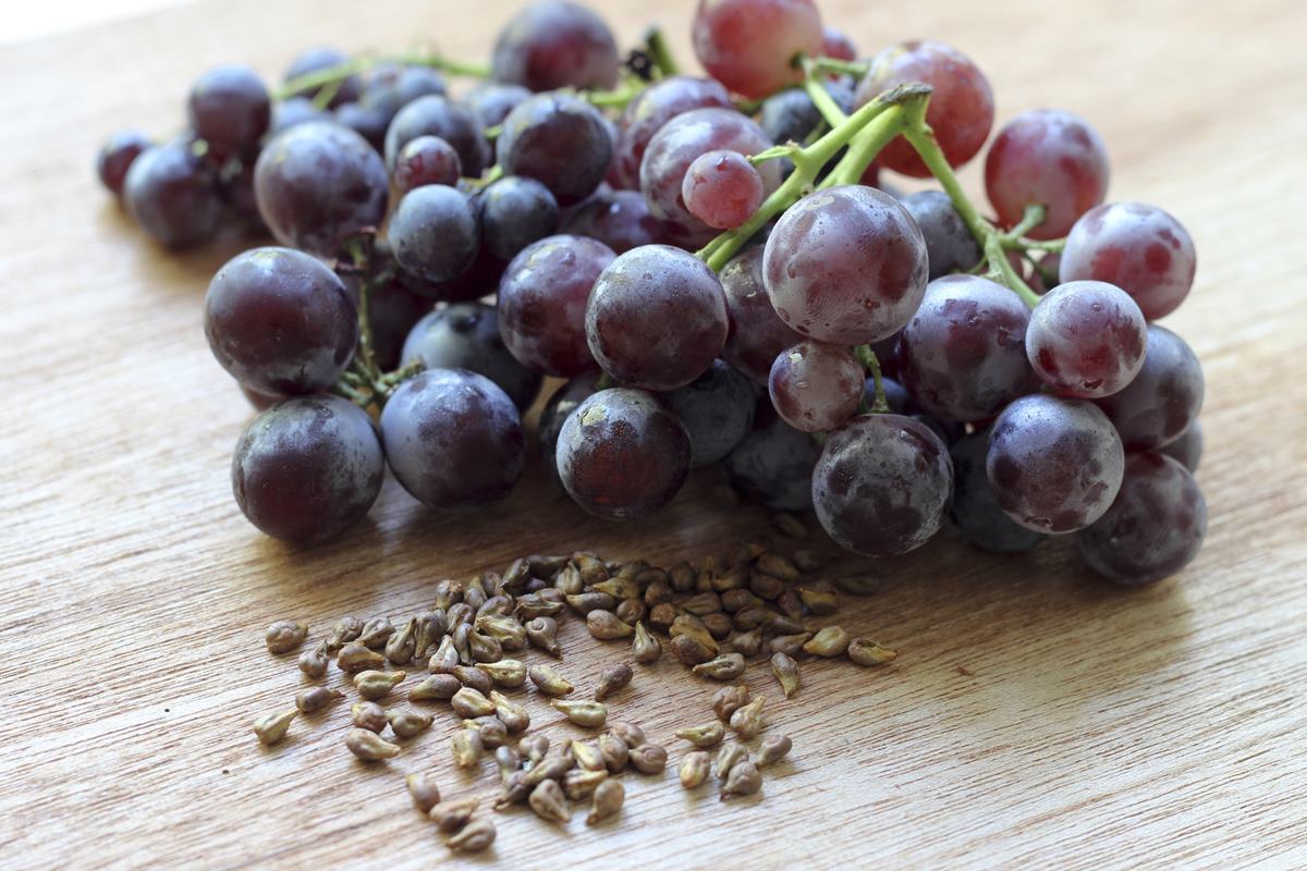 Foto colorida de cacho de uva e sementes da fruta - Metrópoles