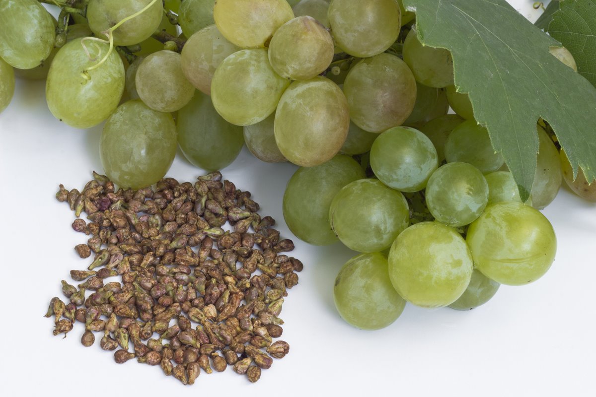 Foto colorida de cacho de uva e sementes da fruta - Metrópoles