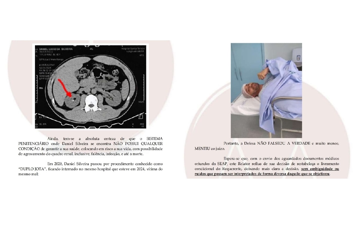 Trecho de petição da defesa de Daniel Silveira ao STF