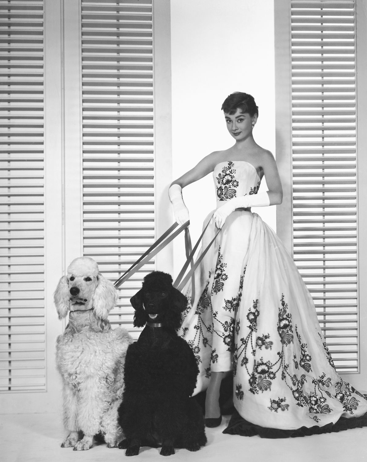 Atriz Audrey Hepburn com dois cachorros - Metrópoles