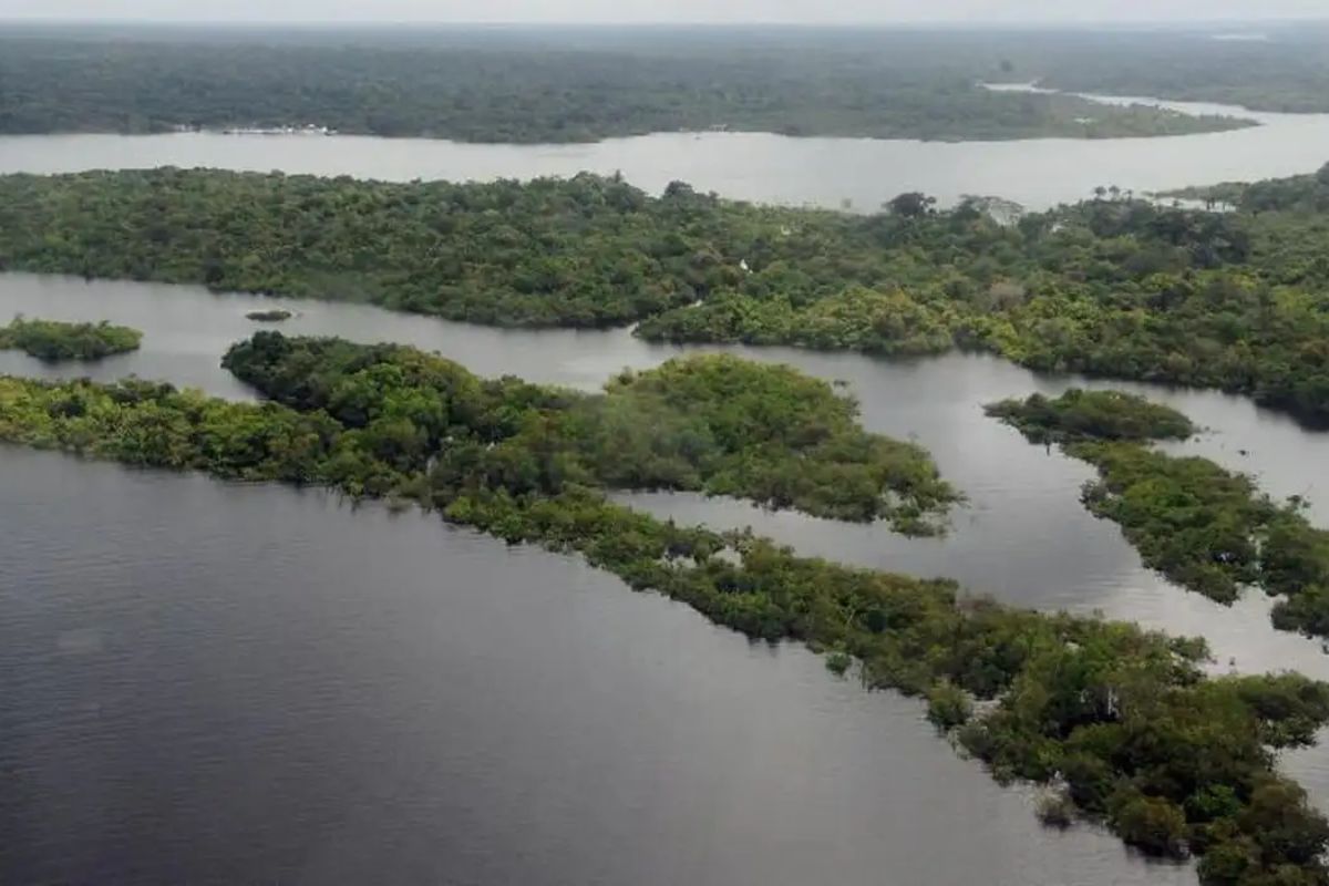 Foto colorida da Amazônia - Metrópoles