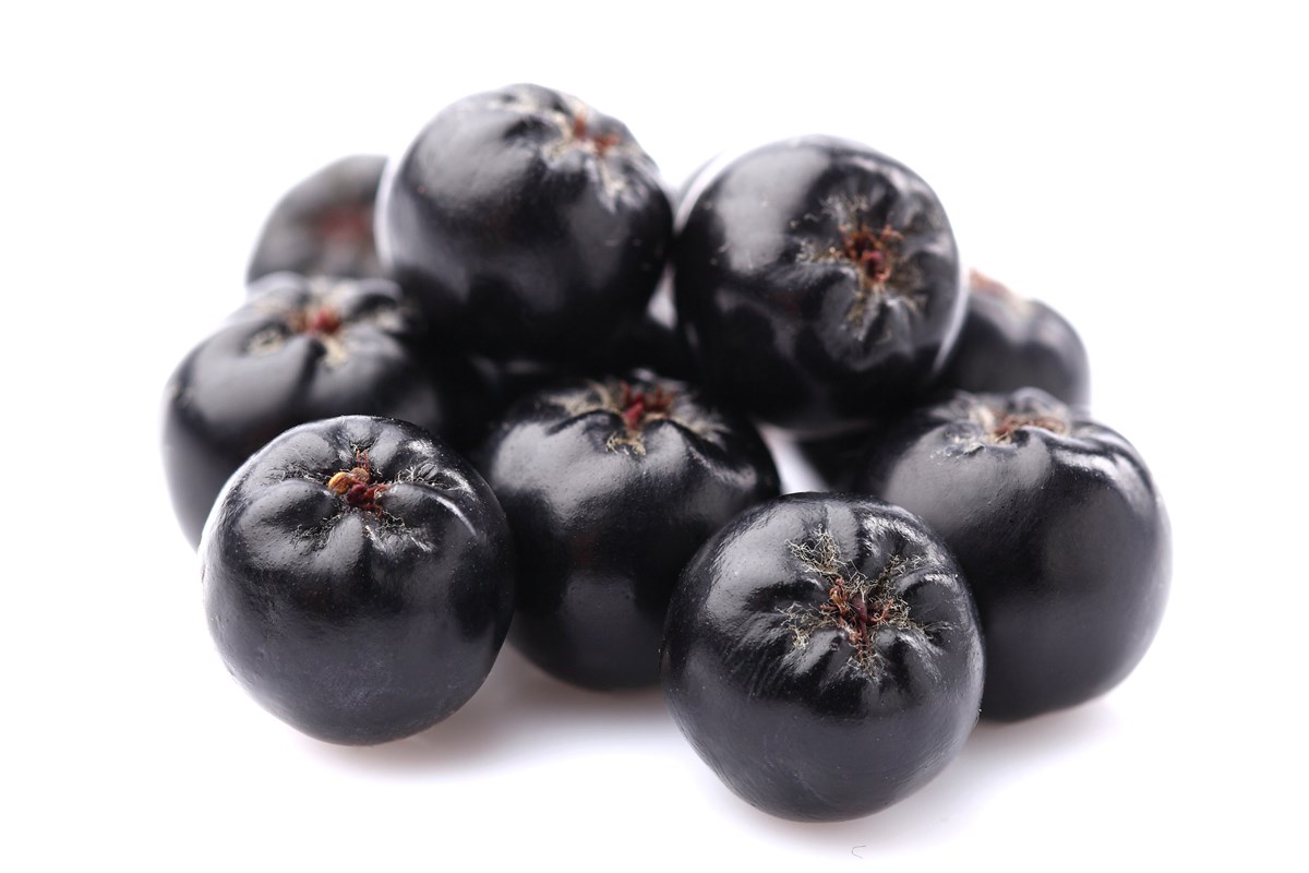 aronia-negra Ouro negro: saiba como consumir a fruta que regula o açúcar no sangue