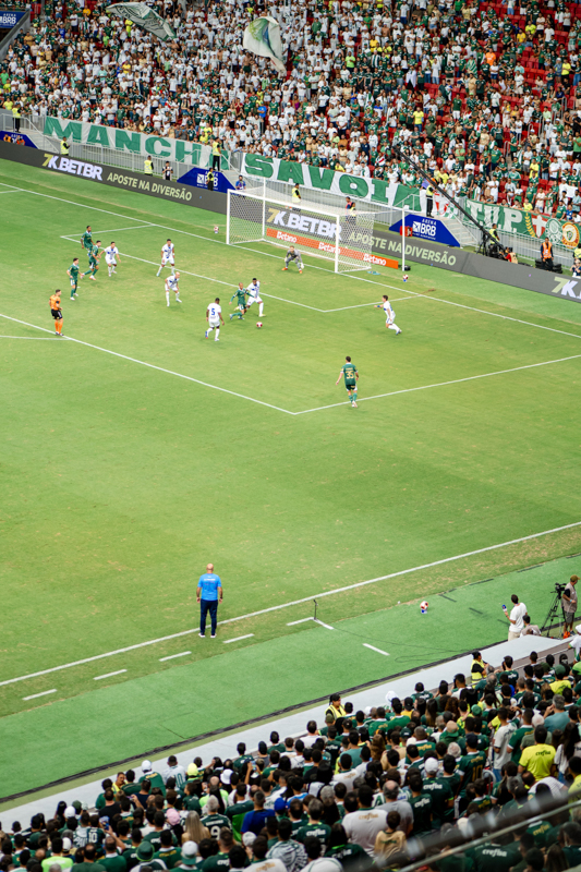 Jogo Palmeiras e Água Santa - Metrópoles