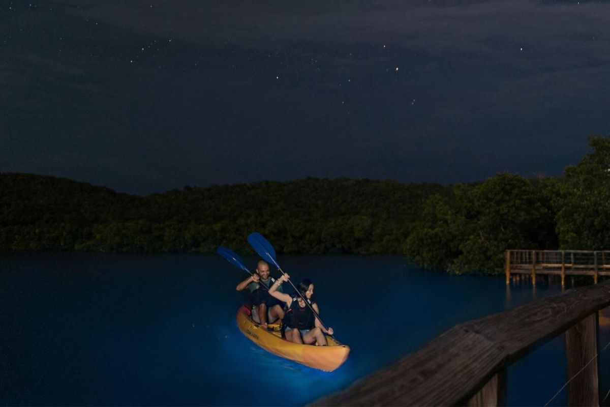 Foto colorida de Baía bioluminescente de Porto Rico - Metrópoles