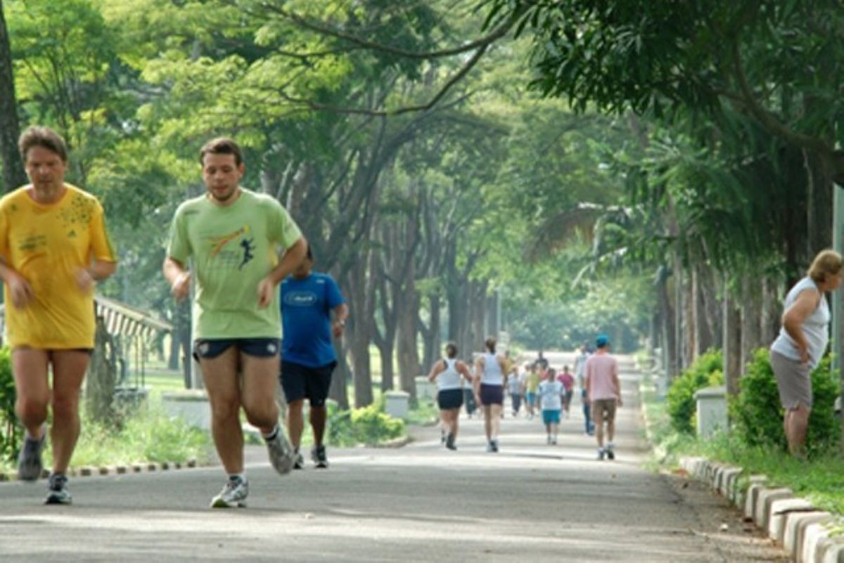 SP: homem de 58 anos morre após passar mal durante caminhada em parque - Portais