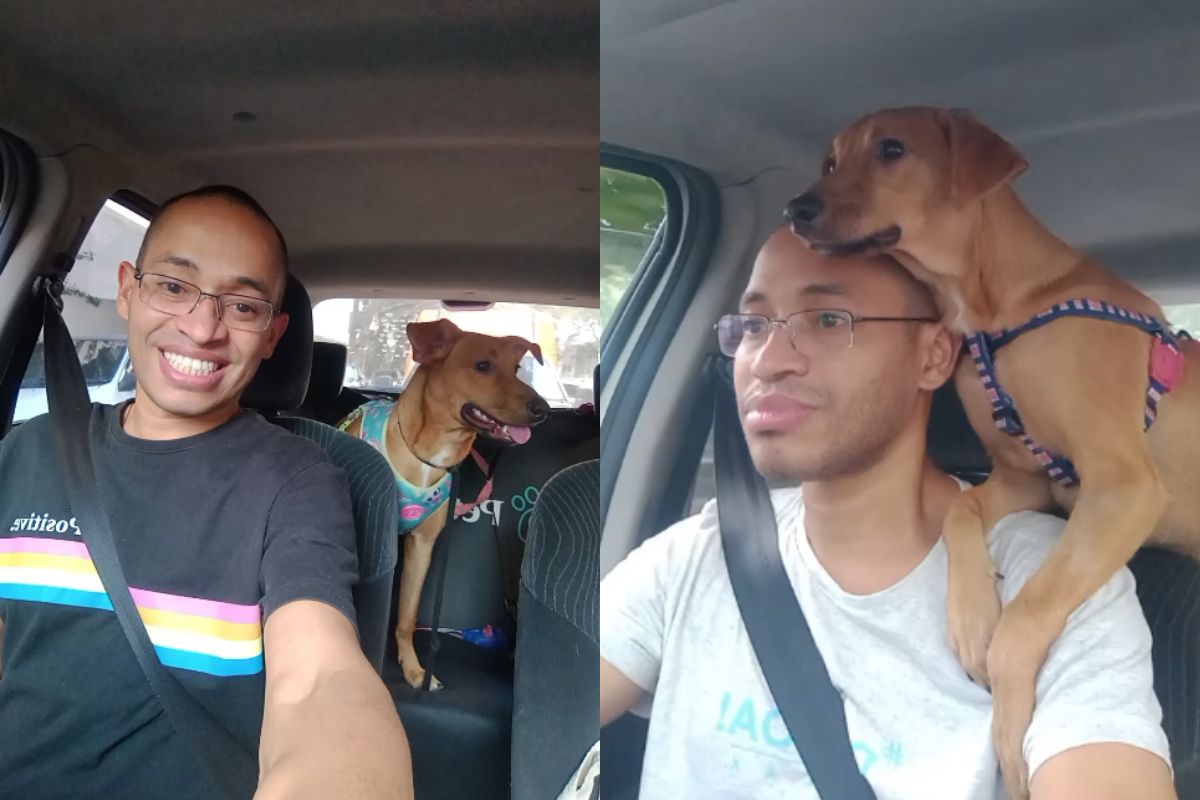 “Taxista de pets” volta a trabalhar após acidente; relembre a história
