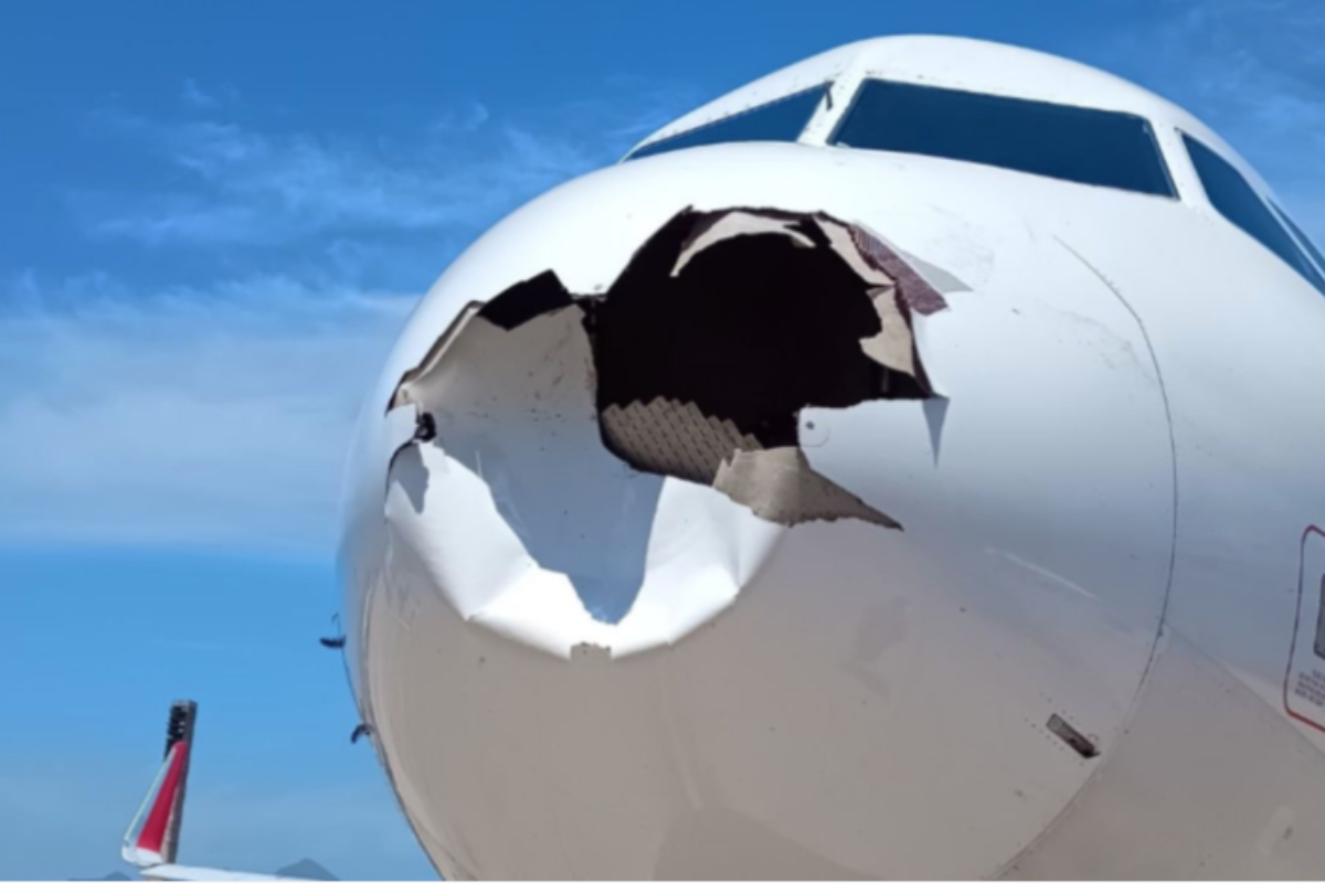 RJ: avião da Latam bate em pássaro e voo é cancelado. Veja como ficou 3 Imagem colorida, Avião da Latam colide frontalmente com pássaro no Rio e voo é cancelado - Metrópoles