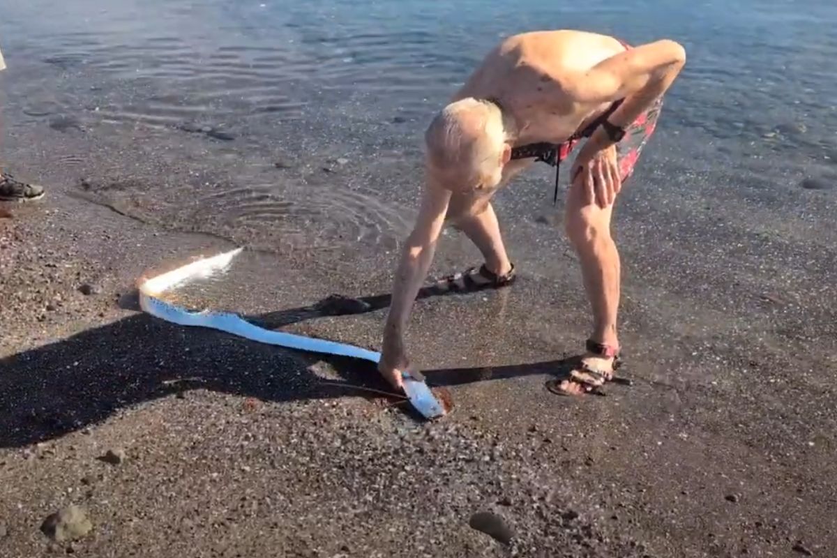 Imagem colorida de homem segurando o peixe encontrado no México